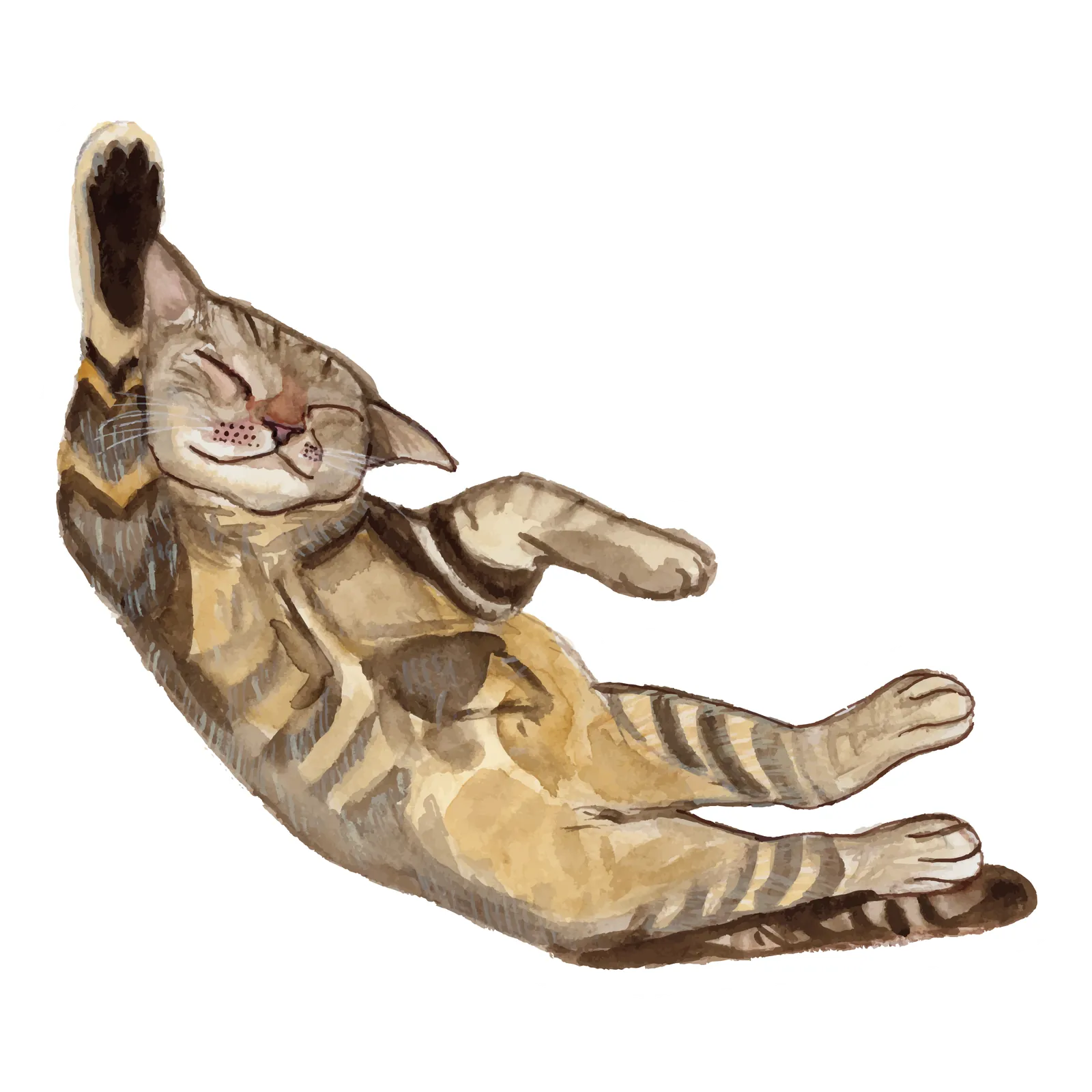 Hand-painted watercolor sticker of a tabby cat lounging on its back